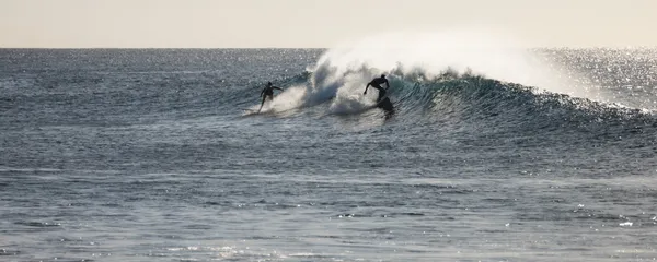 Two surfers on waves at dusk