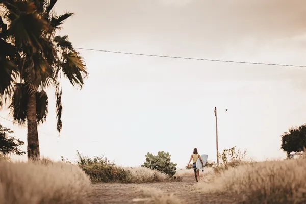 Surfer walking path with palm trees at dusk