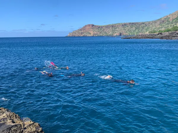 Guided snorkeling tour in Tarrafal, Cabo Verde